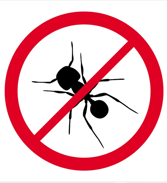 control de plagas hormigas